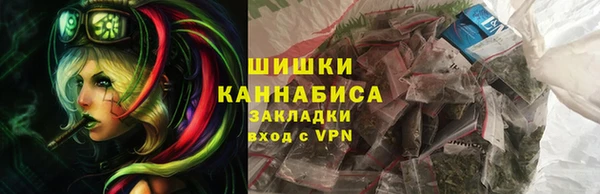 прущие грибы Осташков