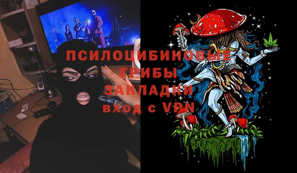 скорость Няндома