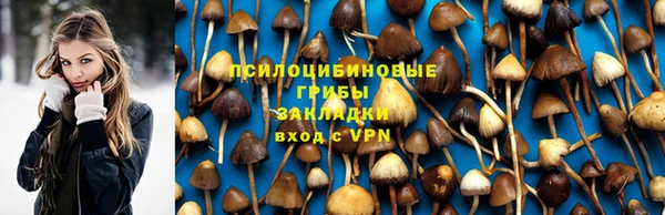 спиды Осинники