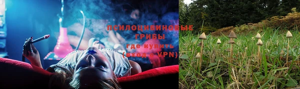 apvp Нязепетровск