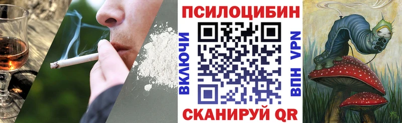 Псилоцибиновые грибы прущие грибы Подпорожье