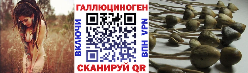 KRAKEN ССЫЛКА  Подпорожье  Псилоцибиновые грибы MAGIC MUSHROOMS 